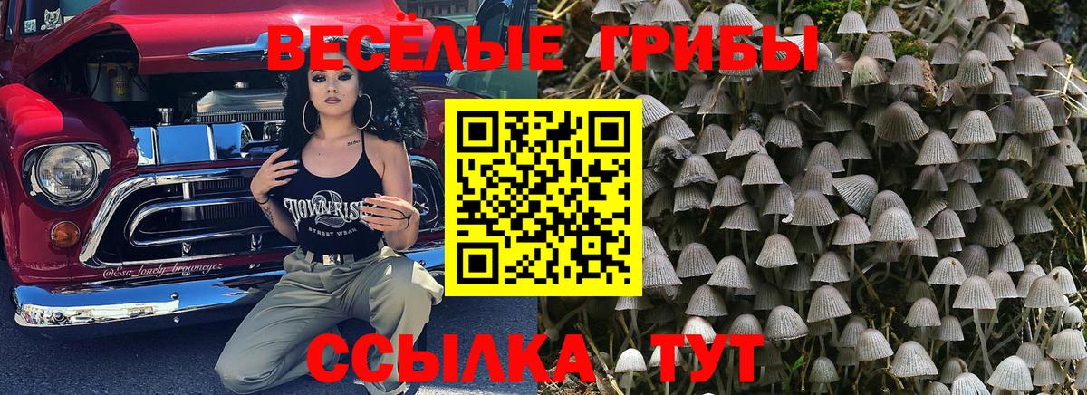 Карпинск  Псилоцибиновые грибы Magic Shrooms  Вход с VPN 